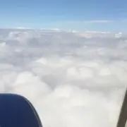 よるクマの画像