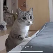 みほ