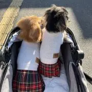 とも☆プロフィール必読☆の画像