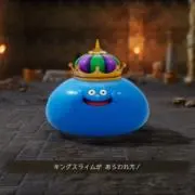 ピコの画像
