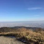 なここの画像