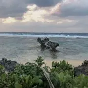 なまはむの画像