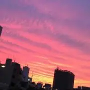 N［土日発送が多いです］の画像