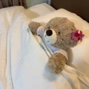 てるの画像