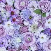 とも33の画像