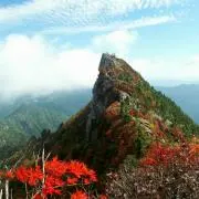 TAYU