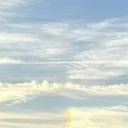 ひかるの画像