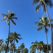 とこの画像