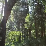ちろる