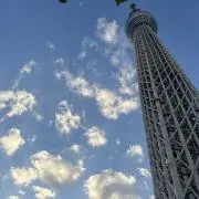 mmの画像