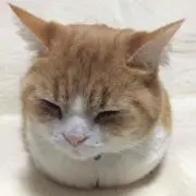 はむはむ＊プロフ読んでね＊の画像