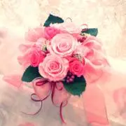 roseの画像