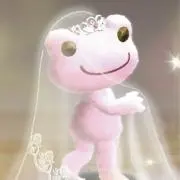 しまこ