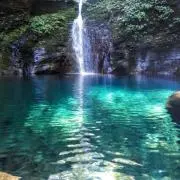 ロッキーの画像