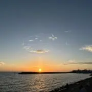 cocoの画像