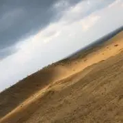 かもめ
