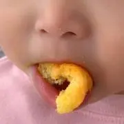 りすの画像