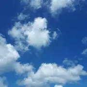 おかかとカカオの画像