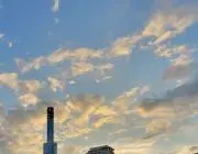 마の画像