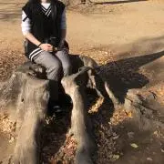 味噌の画像