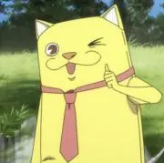 かめの画像