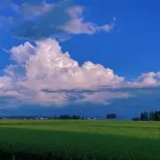 SAI