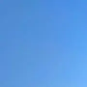 ちょこの画像