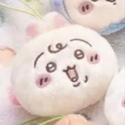 ねこすい