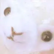 あるぱか※プロフご確認下さいの画像
