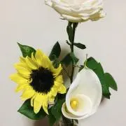 みずきちの画像