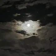 マメラ【値下げ依頼〇】の画像