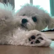 seolの画像