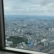 りんごの画像