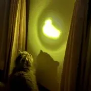 ダンダン