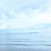 suiの画像