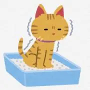 ㅤ ねこA
