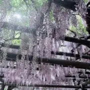 user_eab04e5aの画像