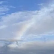 おもちの画像