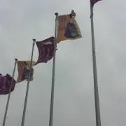 週末SAS