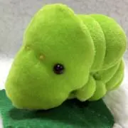 ぽっぽの画像