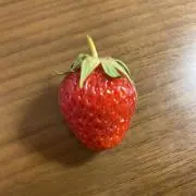 まこ