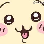 うさぎの画像