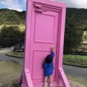 Zetの画像