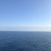 たか