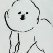 やまま
