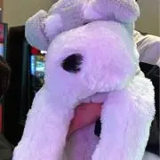 アちゃんの画像