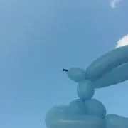 るいの画像