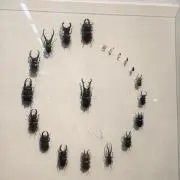 茶々丸の画像