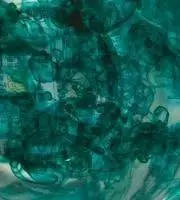 主