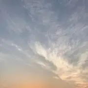 No faceの画像